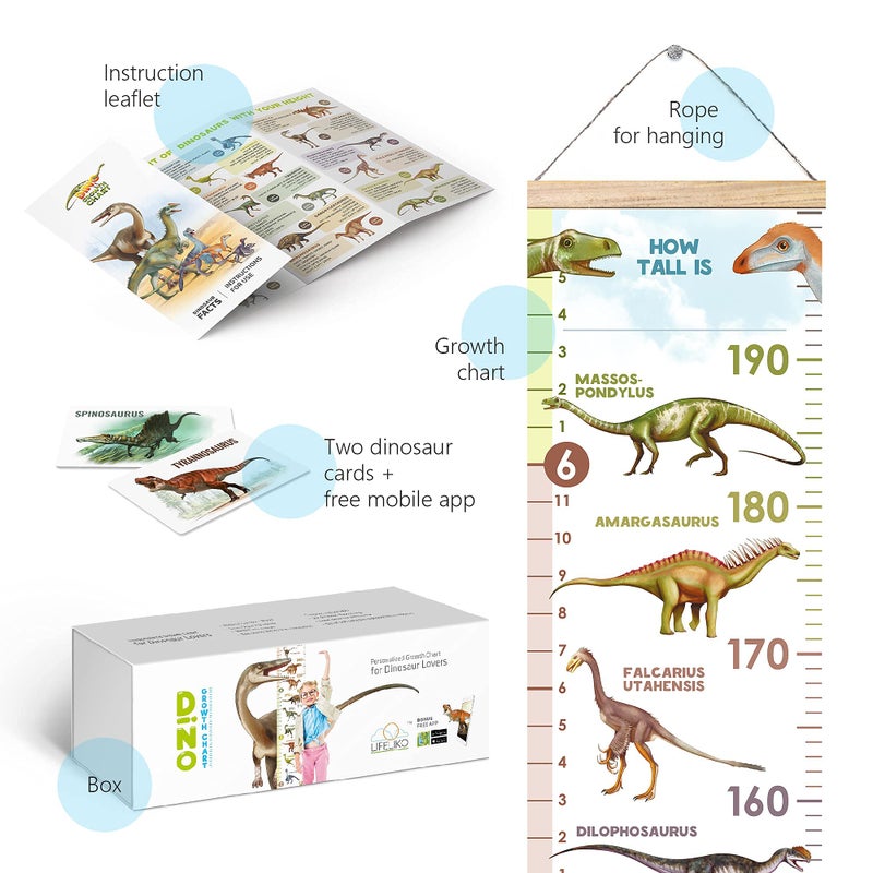 LIFELIKO Personalised Growth Chart for Dinosaur Lovers, Removable Wall Ruler for Boys and Girls, Kidâ€™s Room Decoration (White) - Image 4